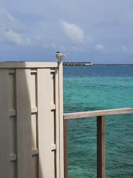 Außenansicht OBLU XPErience Ailafushi