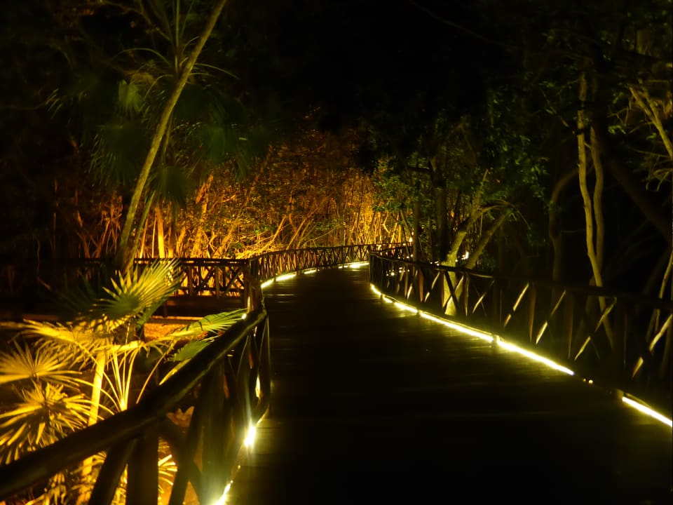 Gartenanlage Iberostar Selection Paraiso Maya Suites