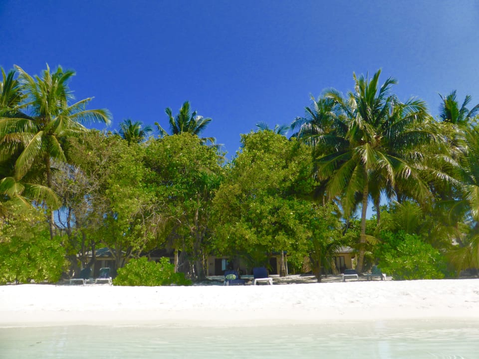 Gartenanlage Vilamendhoo Island Resort & Spa