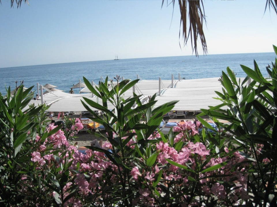 Blick von der Gartenanlage auf den Strand Crystal Aura