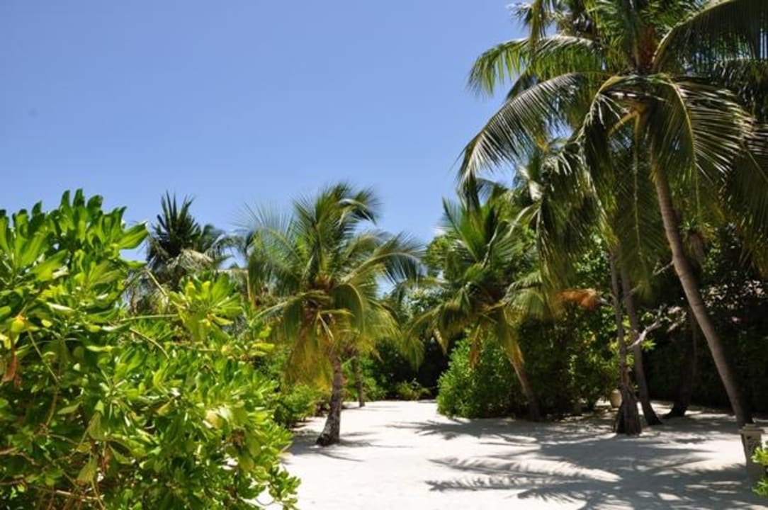 Barfußinsel Baros Maldives Resort