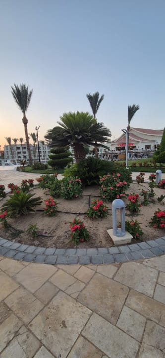Außenansicht Pickalbatros Dana Beach Resort - Hurghada