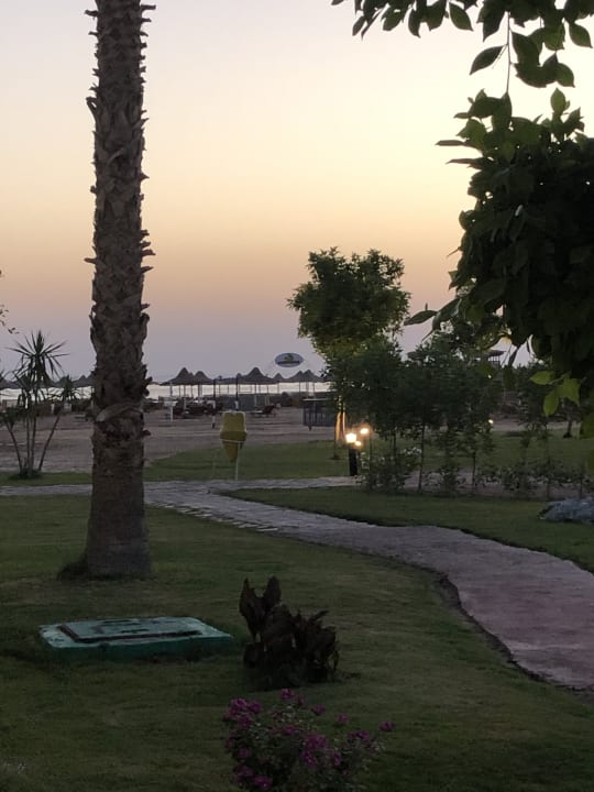 Ausblick LABRANDA Royal Makadi