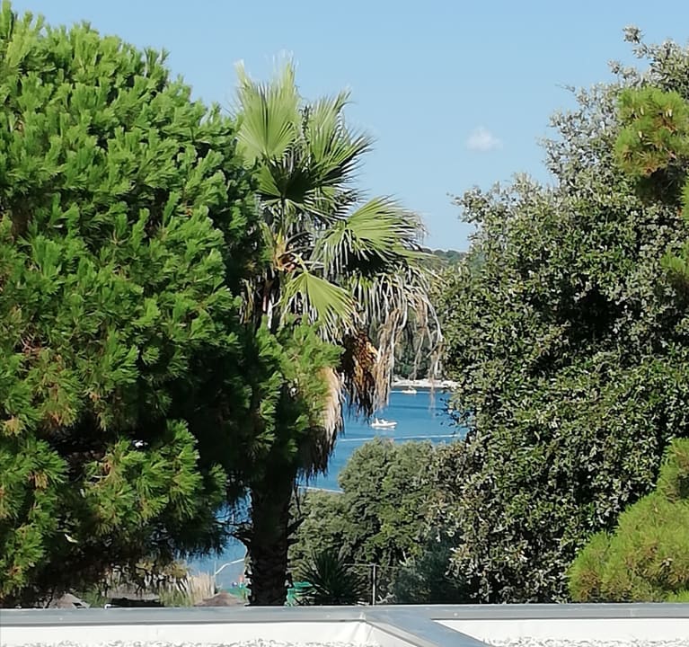 Ausblick Valamar Tamaris Hotel