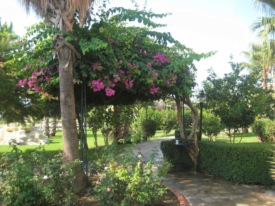 Garten Bella Resort & Spa