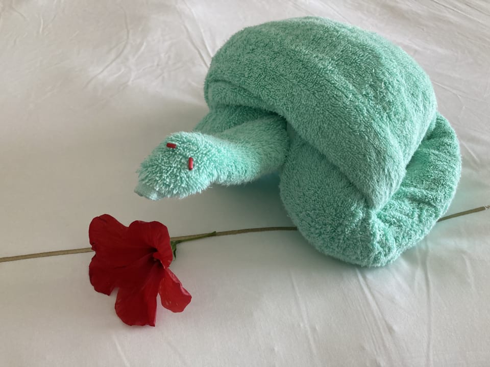 Zimmer Cleopatra Luxury Resort Makadi Bay