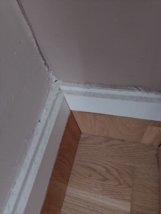 Zimmer Bull Costa Canaria & Spa - Adults only