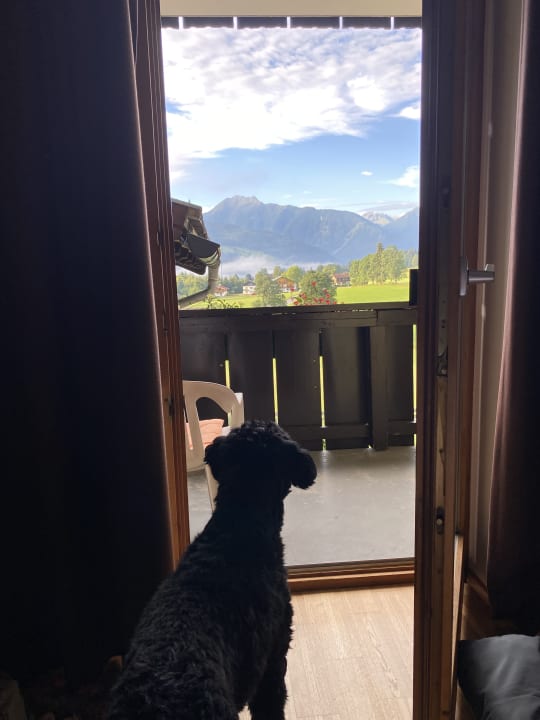 Zimmer Almfrieden Hotel & Romantikchalet