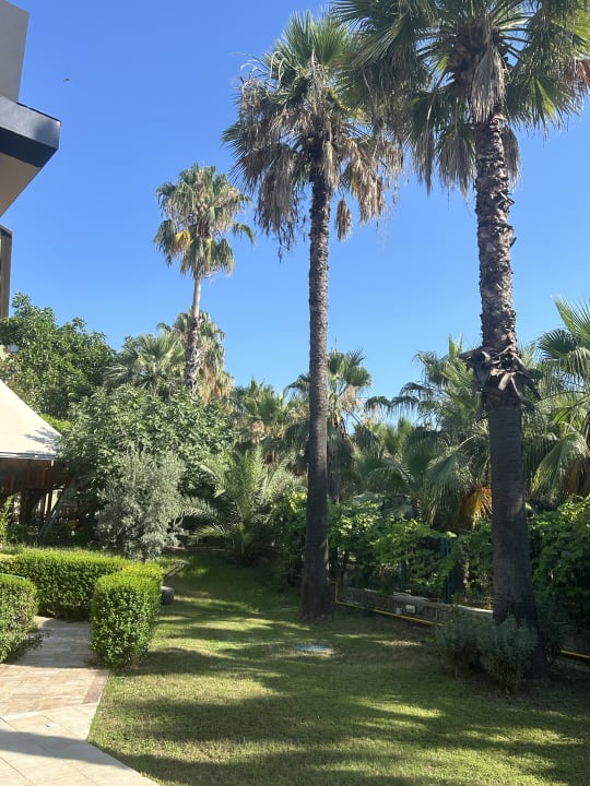 Gartenanlage Hotel Grand Side