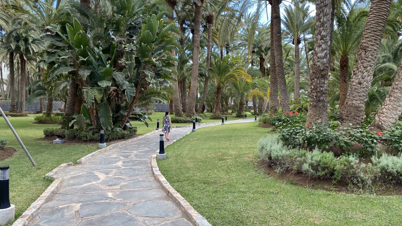 Gartenanlage Hotel Riu Palace Oasis
