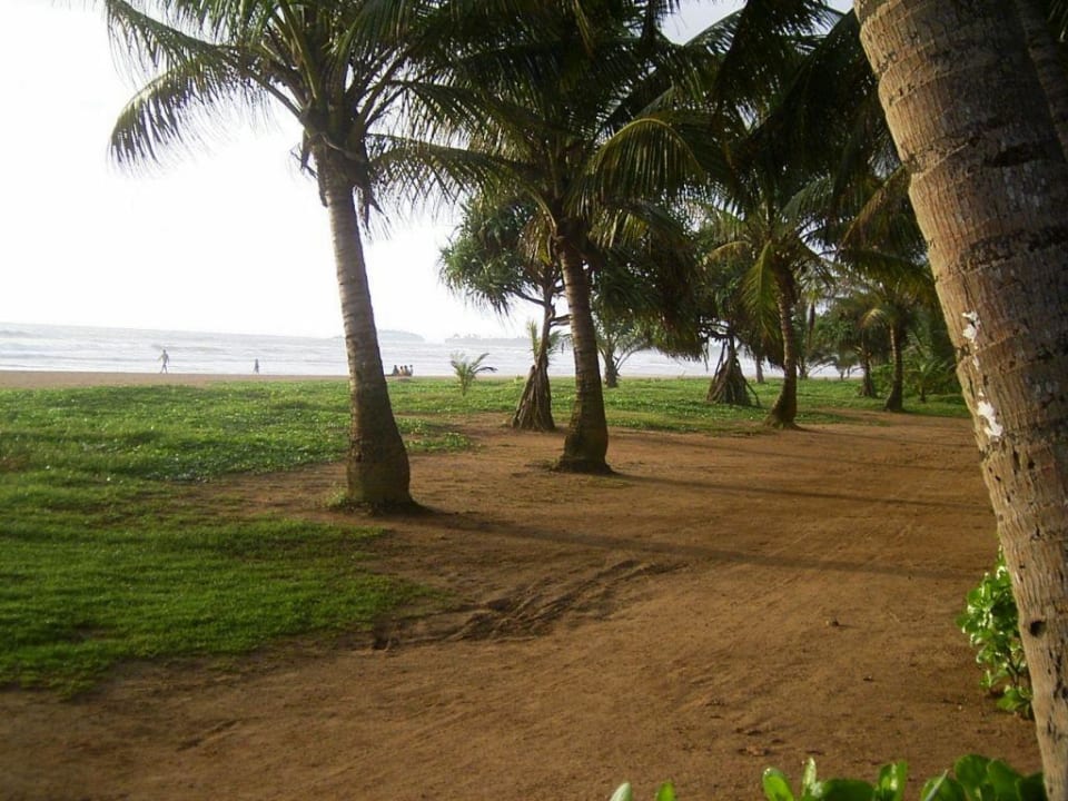 Ausblick vom Pool zum Strand Thaala Bentota