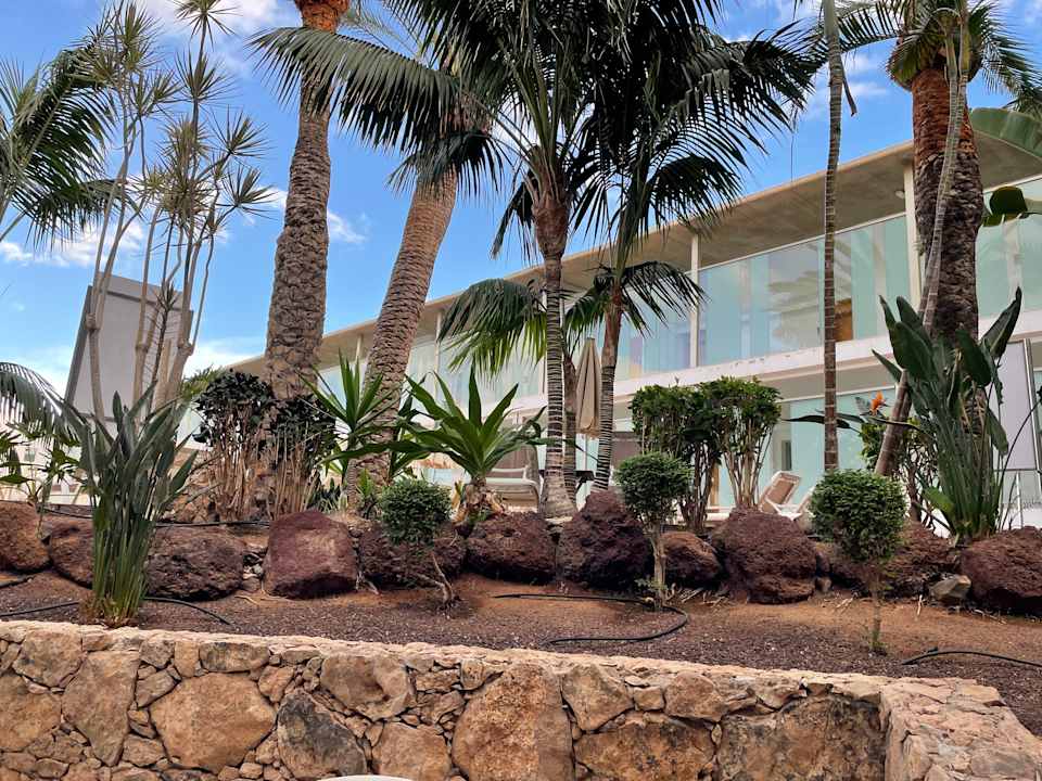 Gartenanlage R2 Bahía Playa Design Hotel & Spa - Adults Only