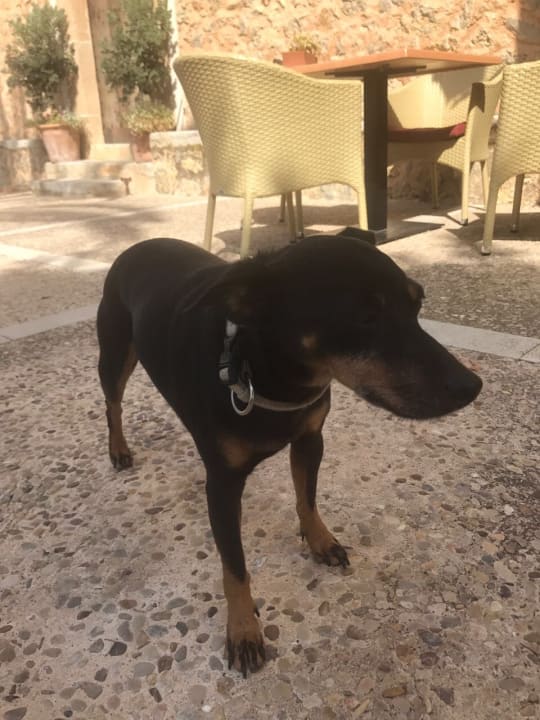 Sonstiges Finca Hotel Can Estades