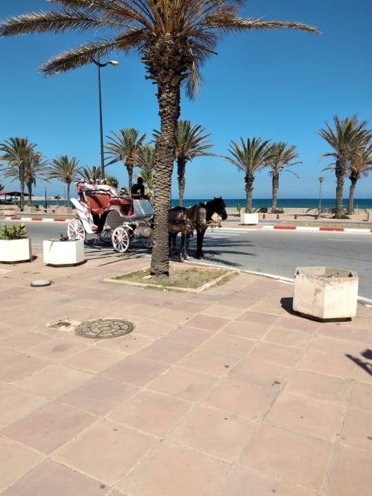 Sonstiges Le Royal Hotels & Resorts - Hammamet