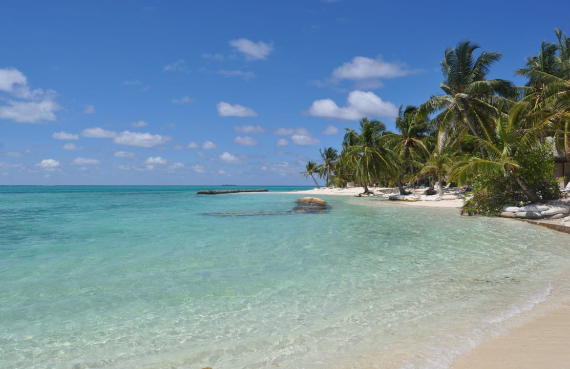 Strandabschnitt bei den Superior Bungalows Summer Island Maldives