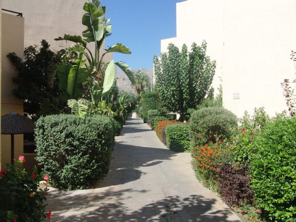 Garten, Weg , Innenseite Weg zu den Zimmern Atlantica Aegean Blue