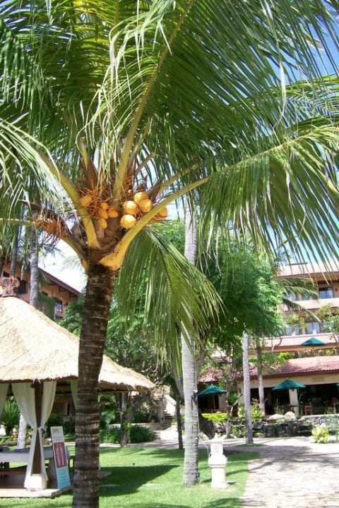 Wie im Märchen Nikko Bali Benoa Beach