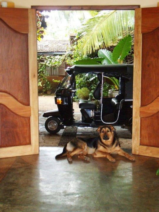 Hauseigenes TukTuk vor dem Hoteleingang Villa Rosa