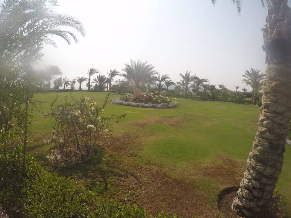 Garten Fantazia Resort Marsa Alam