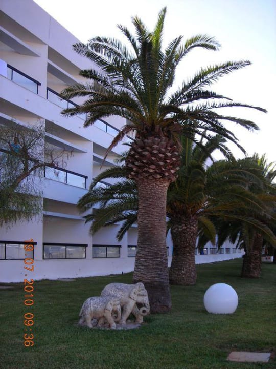 Wunderschöner Garten Grand Palladium Select Palace Ibiza