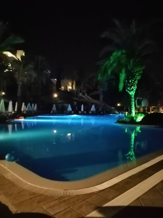 Pool Side Star Elegance