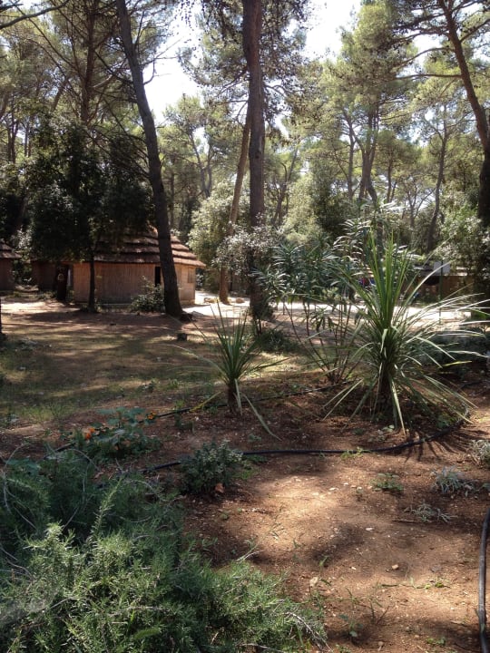 Gepflegte Anlage Pine Beach Pakostane