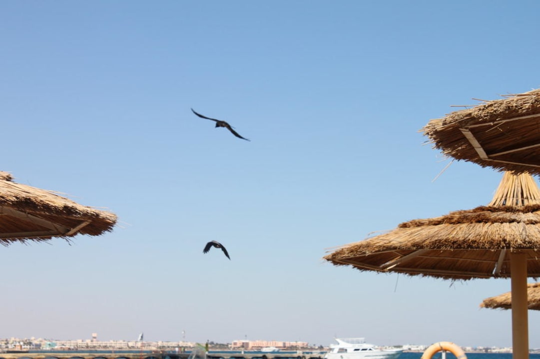 Der Himmel über Ägypten Pickalbatros Alf Leila Wa Leila Resort - Neverland Hurghada
