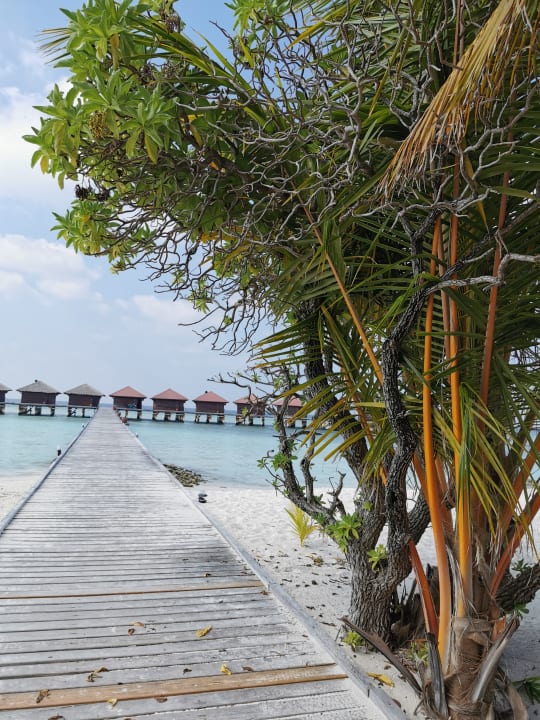 Außenansicht Filitheyo Island Resort