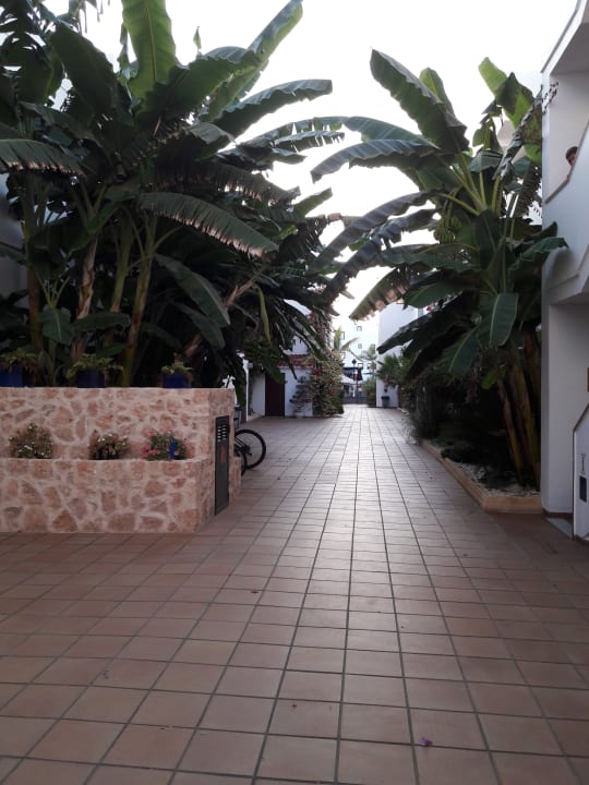 Gartenanlage Apartments Sal Rossa