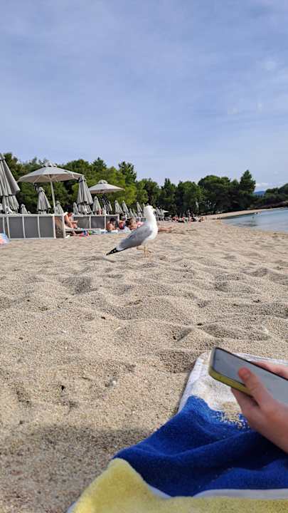 Strand Lagomandra Hotel & Spa