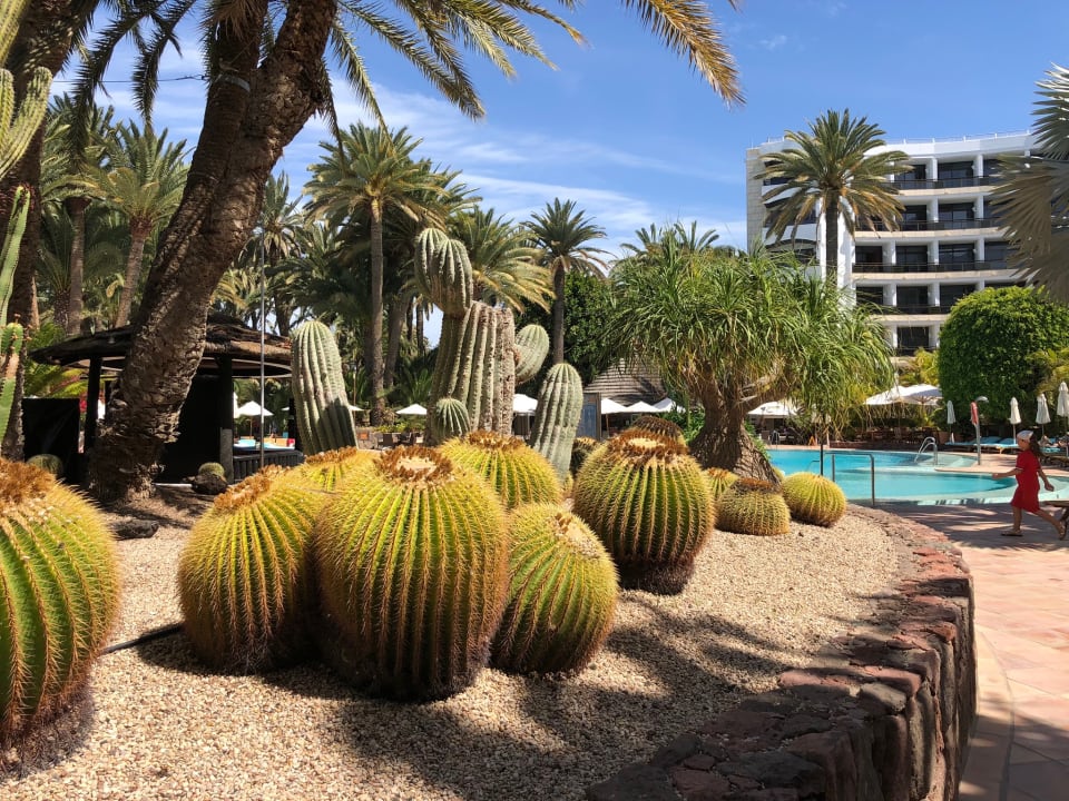 Gartenanlage Seaside Hotel Palm Beach