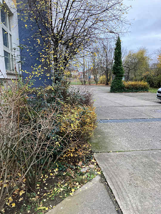 Ausblick Best Western Hotel Windorf