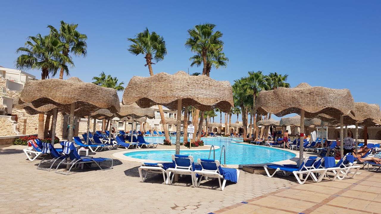 Pool Pickalbatros Citadel Resort