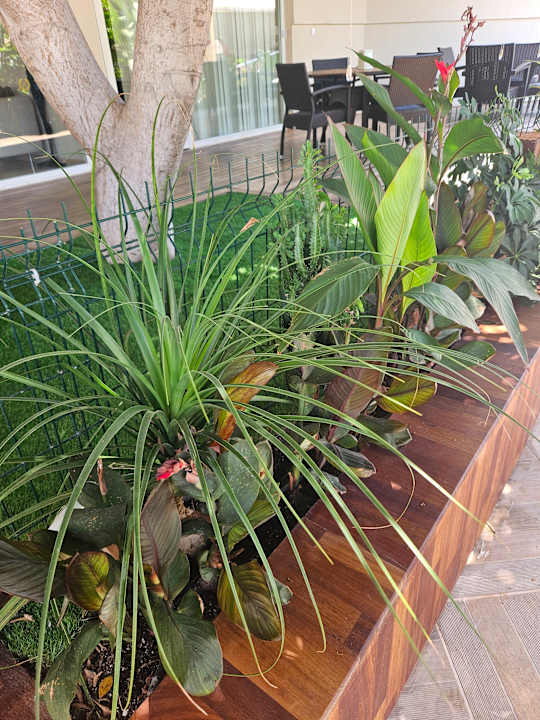 Gartenanlage Nerton Hotel - Erwachsenenhotel ab 16 Jahren