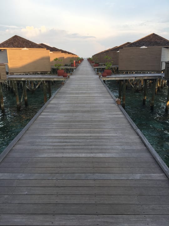 Zimmer Meeru Maldives Resort Island