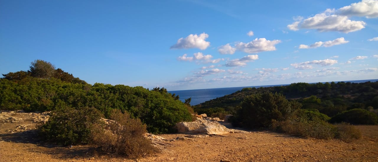 Strand Hipotels Bahia Grande