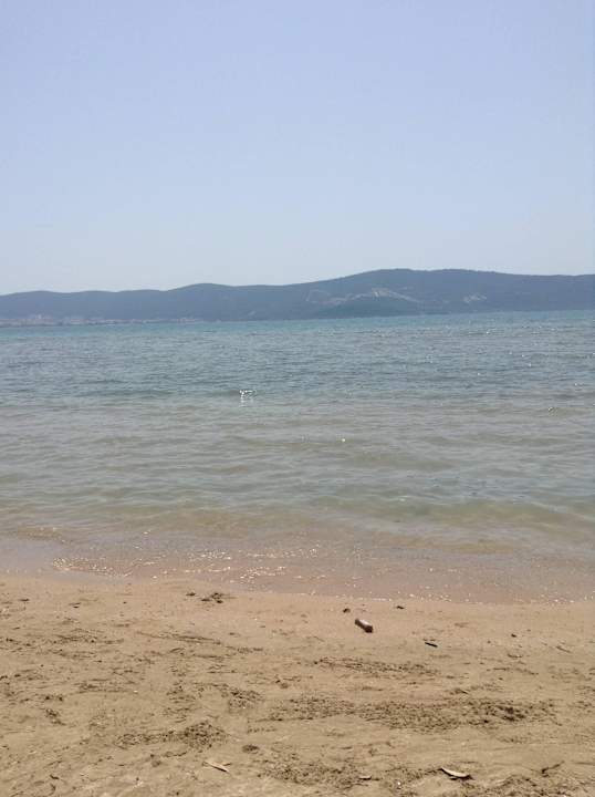 Plaza Asteria Venus Didim