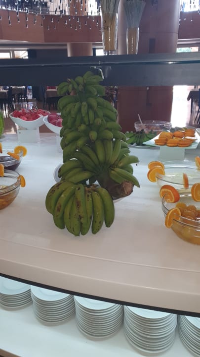 Gastro Hotel Orfeus Park