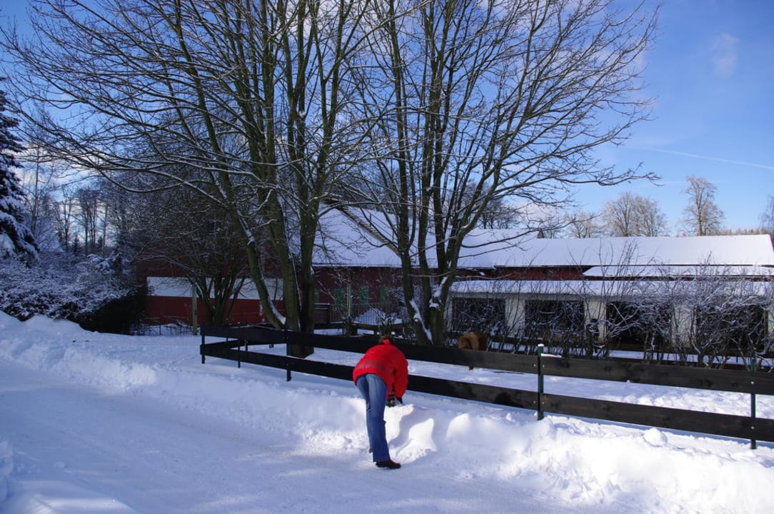 Viel Schnee Landhotel Harz