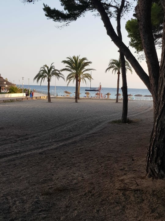 Strand allsun Hotel Bella Paguera