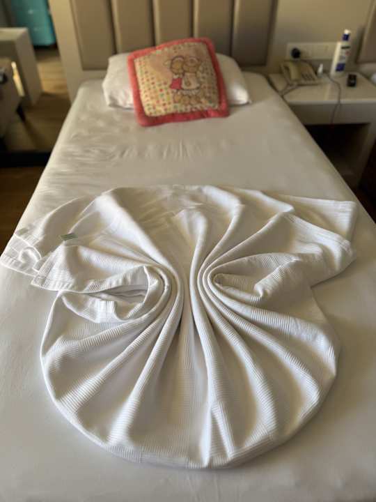 Zimmer Seaden Sea World Resort & Spa