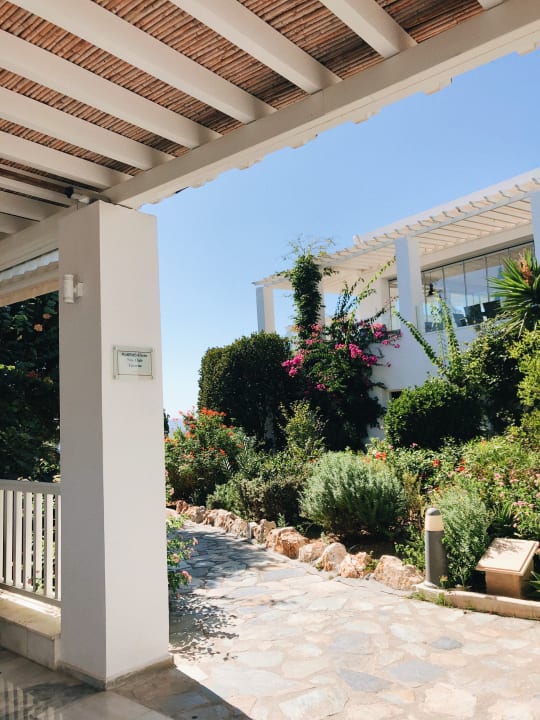 Ausblick ROBINSON DAIDALOS