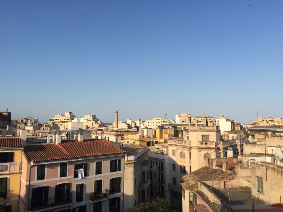 Dachterrasse Hotel Palma Suites