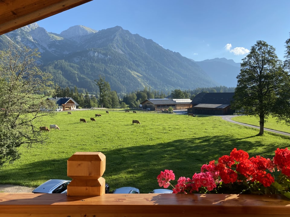 Ausblick Bio-Holzhaus & Landhaus Heimat