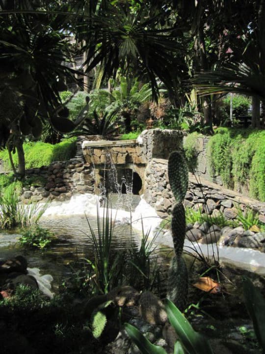 Gartenansicht Hotel Parque Tropical