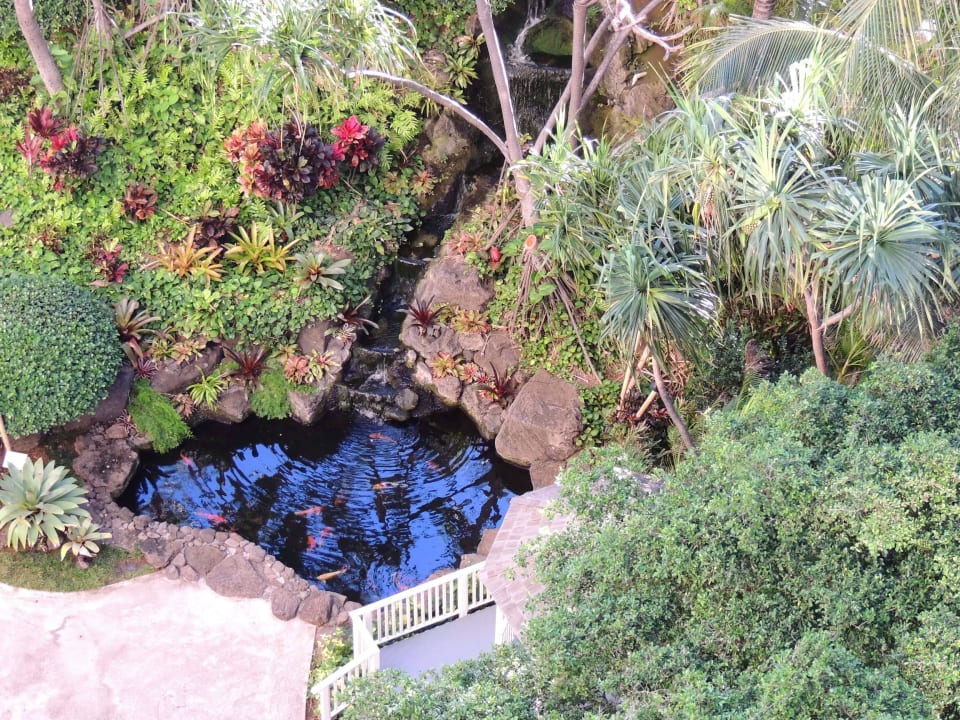 Gartenanlage Hilton Waikiki Beach