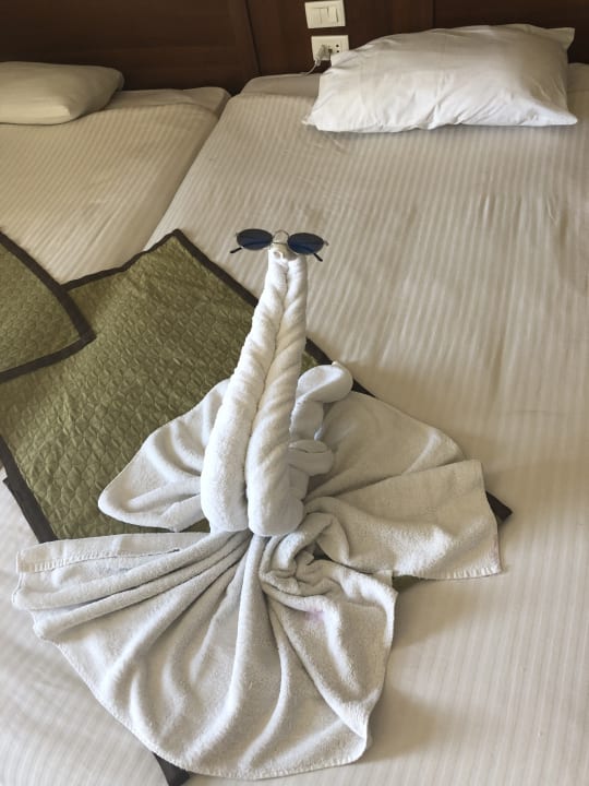 Zimmer Royal Star Beach Resort