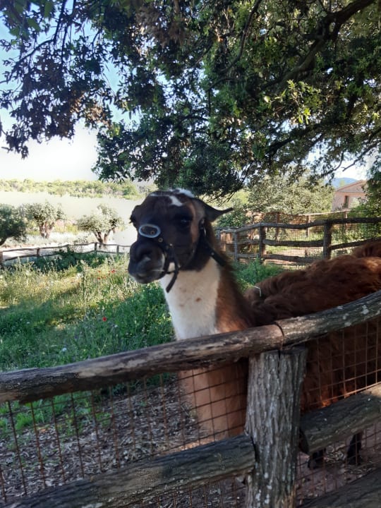 Sonstiges Château Saint Roux Le Luc-Le Cannet des Maures