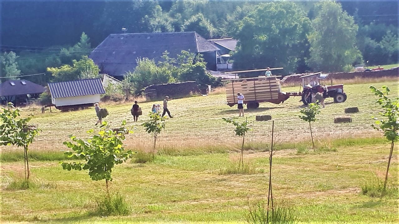 Außenansicht S'Fleckli Bioland Ferienbauernhof