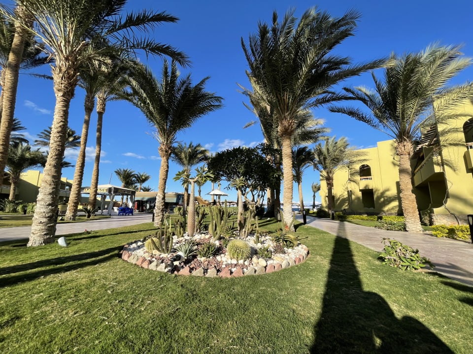 Gartenanlage Palm Beach Resort